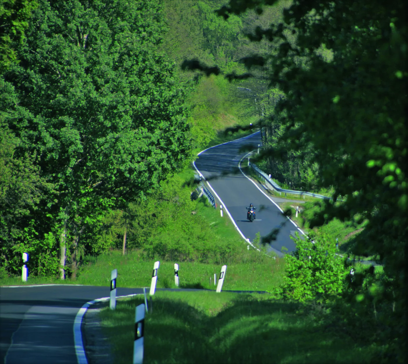 Kurvige Landstraße durch offene Wiesenhänge
