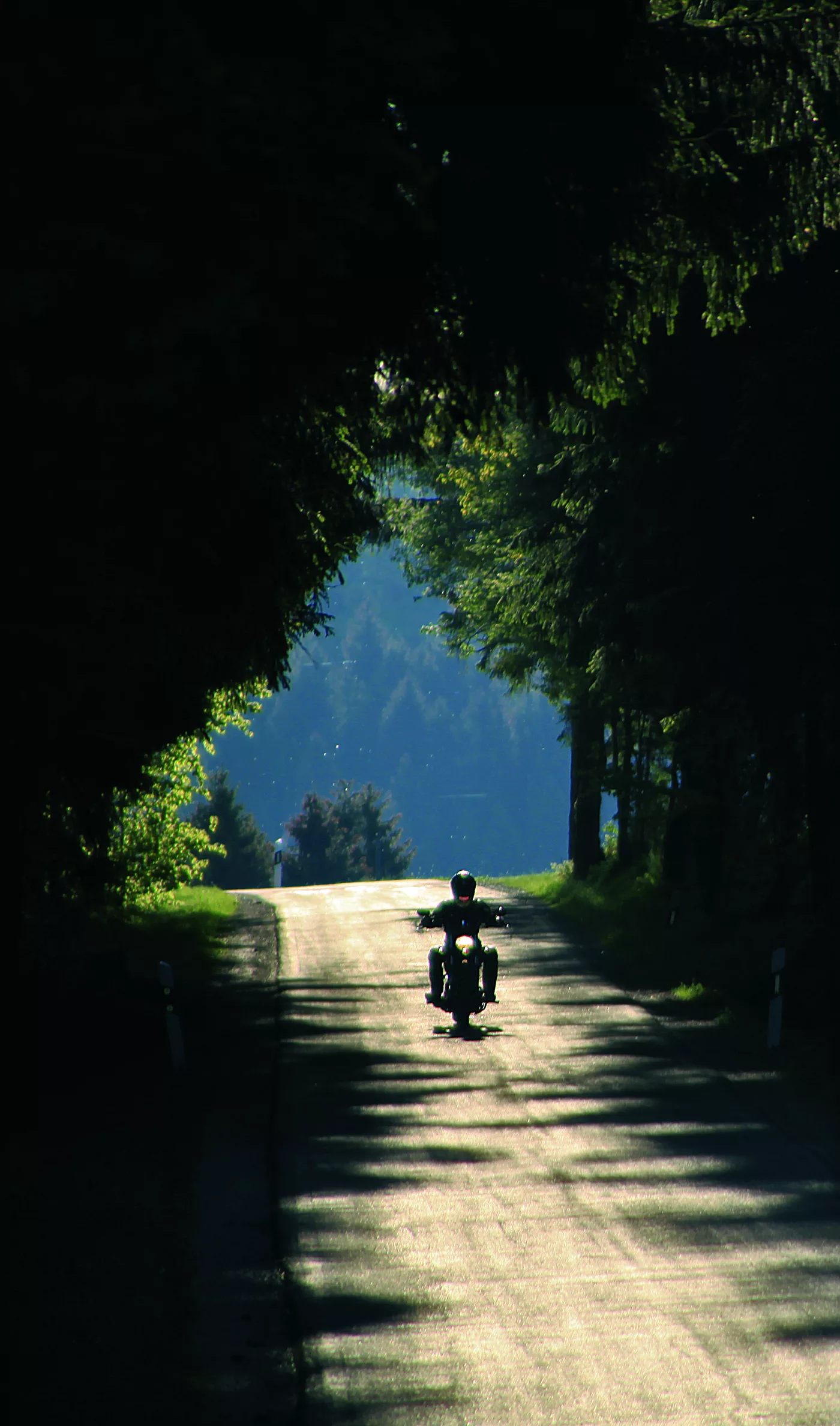 Motorrad in einem dunklen Waldtunnel aus dicht stehenden Bäumen Motorrad in einem dunklen Waldtunnel aus dicht stehenden Bäumen