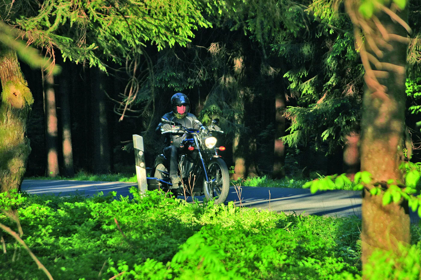 Motorrad auf einer Waldstraße zwischen Farn und Birken Motorrad auf einer Waldstraße zwischen Farn und Birken